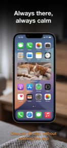 A cat at a glance with the Caturday widget